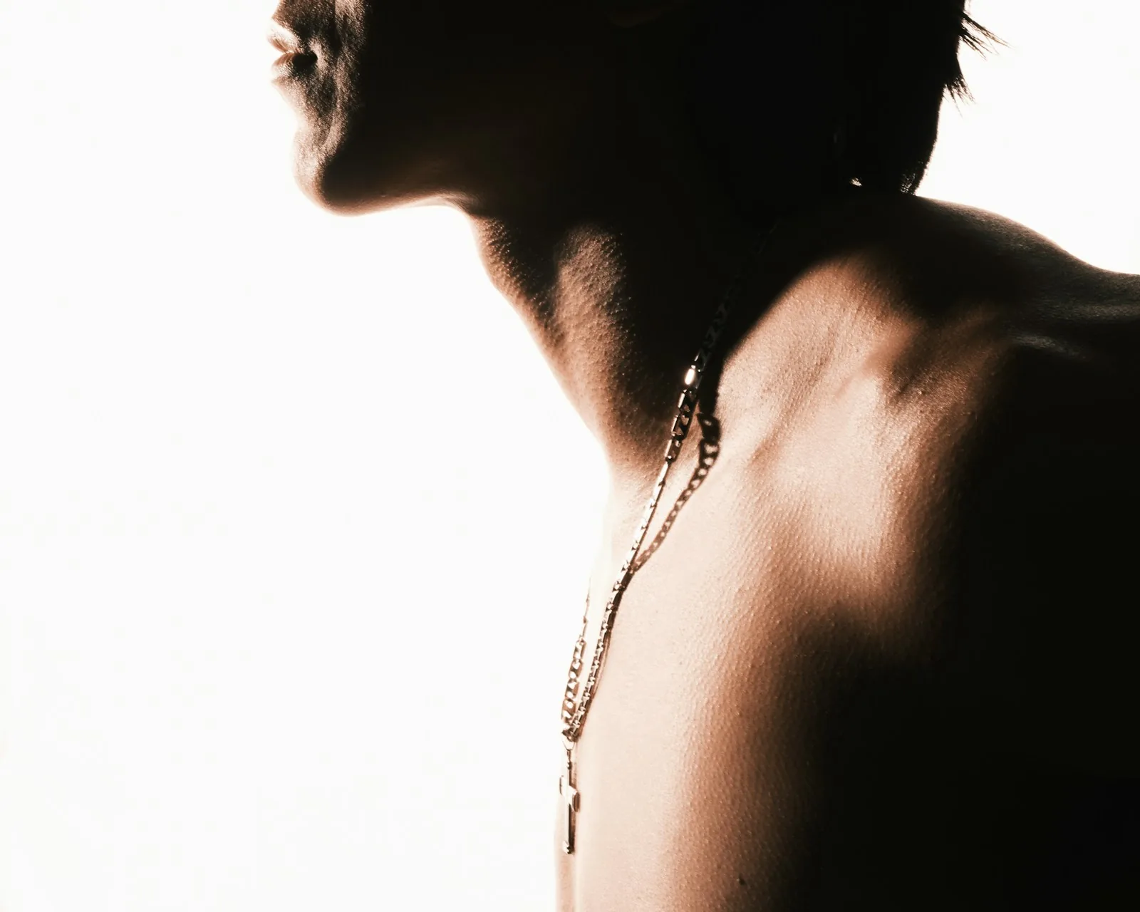 Jawline · Nefertiti · profile study
